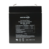 Bright Way Group BWG 1250 F1 Battery