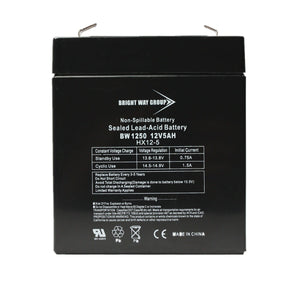 Bright Way Group BWG 1250 F1 Battery