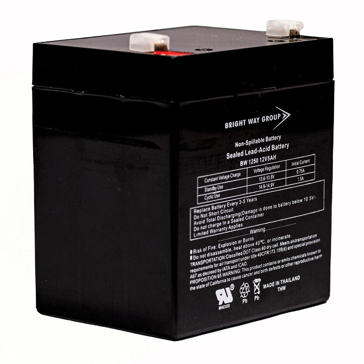 Bright Way Group BWG 1250 F1 Battery
