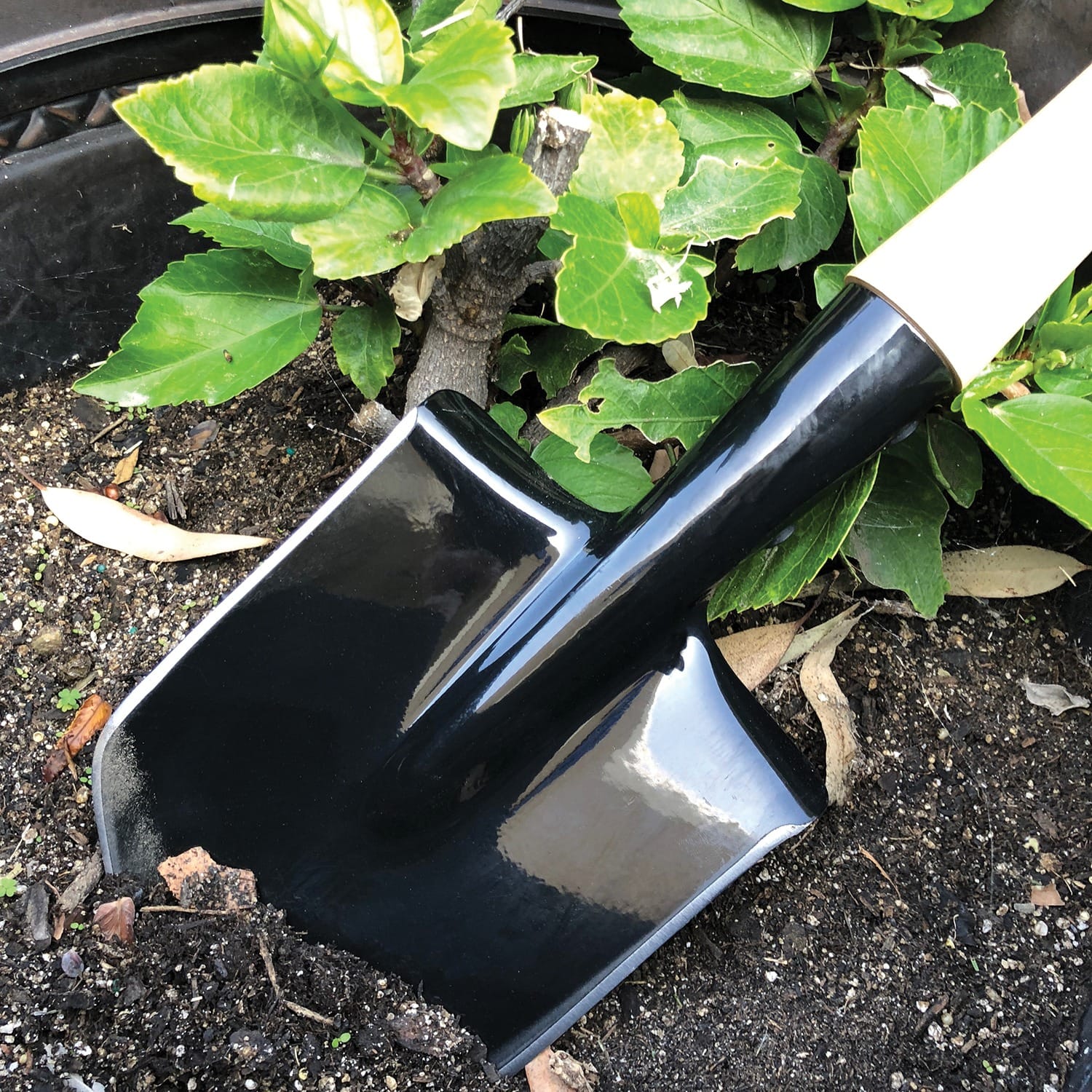 Cold Steel Special Forces Shovel