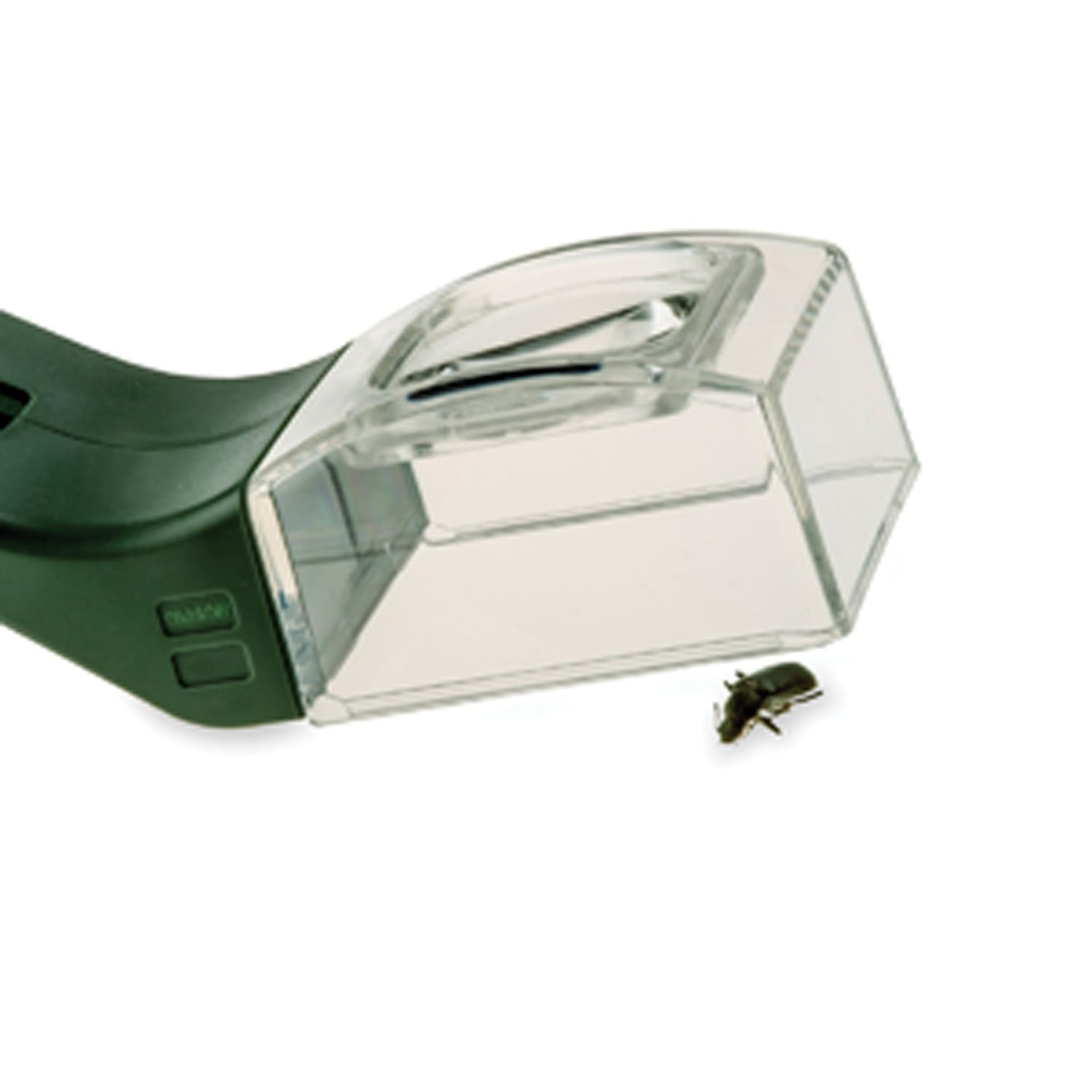 Carson Kids BugView Magnifier and Quick-Release Bug-Catching Tool