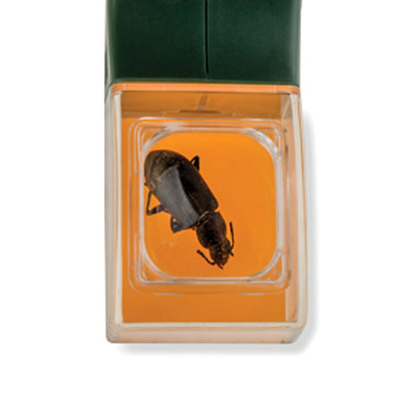 Carson Kids BugView Magnifier and Quick-Release Bug-Catching Tool