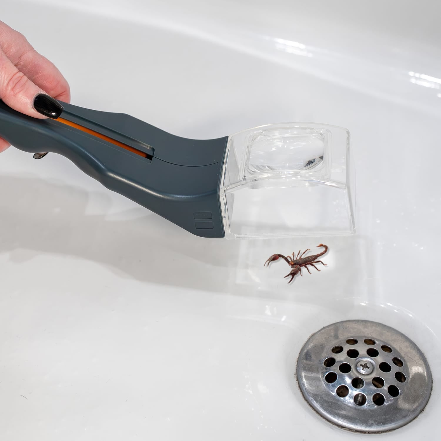 Carson 5x Humane Bug Catcher Catch-and-Release Magnifier Tool