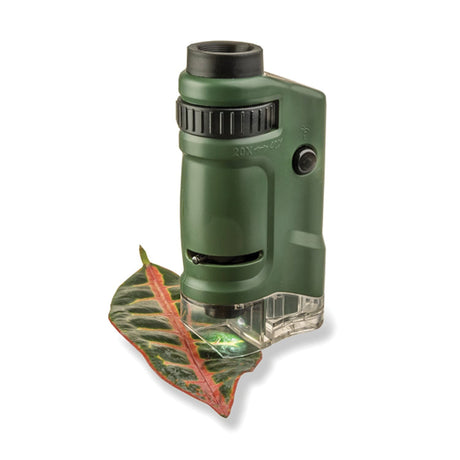 Carson MicroBrite 20x–40x Zoom Pocket Microscope with Built-in LED