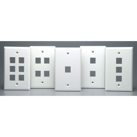 DataComm Electronics Standard-Size Keystone Wall Plate, Ultra White, 2 Port