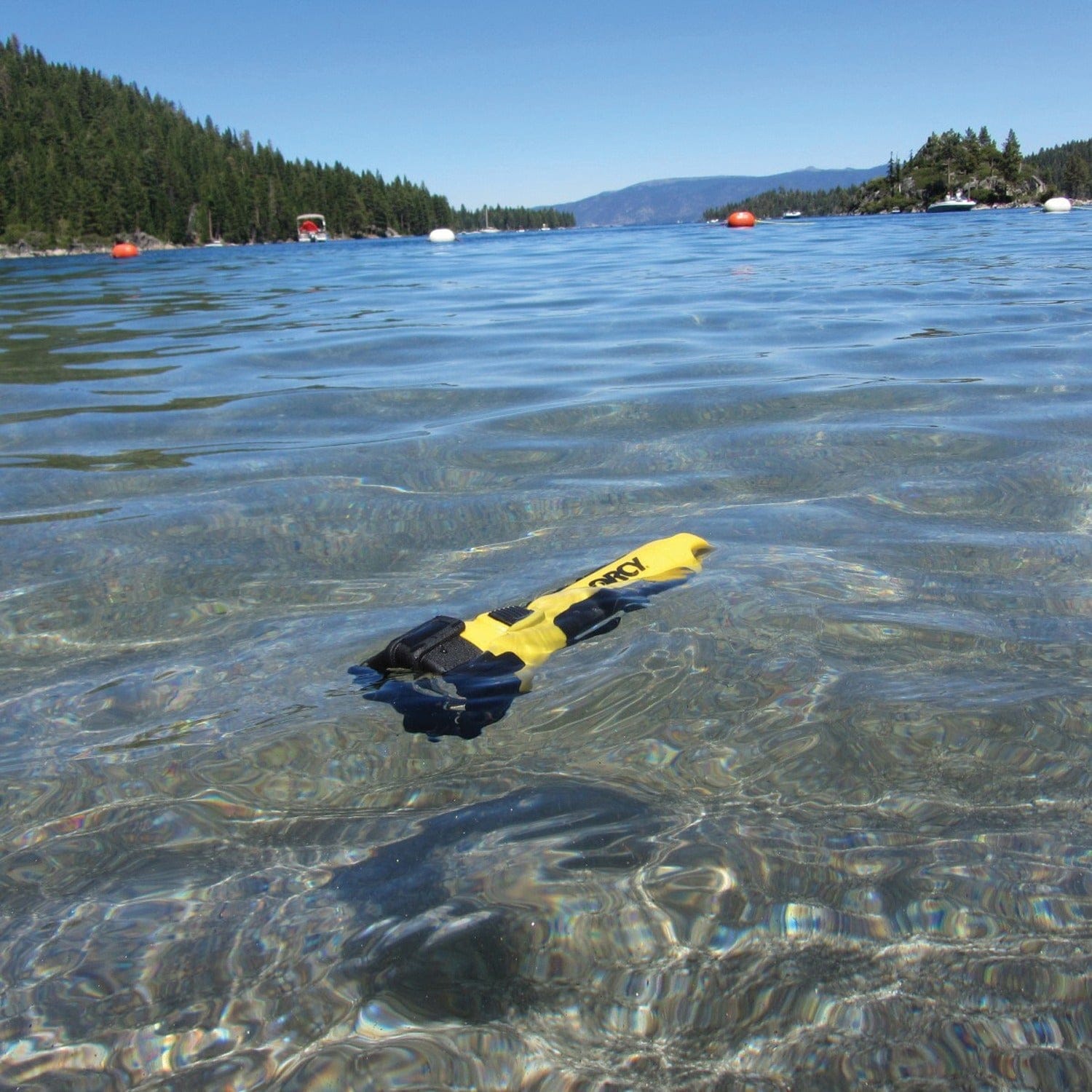 Dorcy Active Series 150-Lumen LED Carabiner Waterproof Flashlight