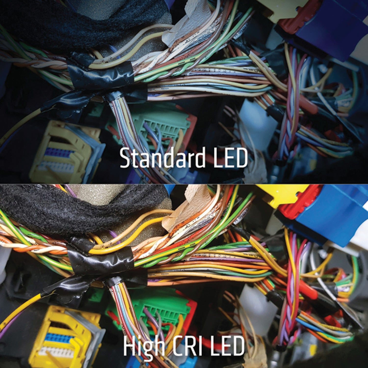 Dorcy Pro Series 470-Lumen LED High CRI and UV Tilting Headlamp