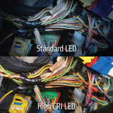 Dorcy Pro Series 470-Lumen LED High CRI and UV Tilting Headlamp