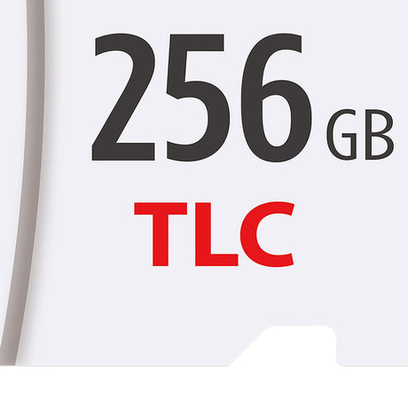 Gigastone TLC High Endurance Pro microSD Card, 256 GB