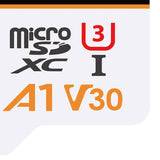 Gigastone TLC High Endurance Pro microSD Card, 256 GB
