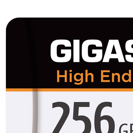Gigastone TLC High Endurance Pro microSD Card, 256 GB
