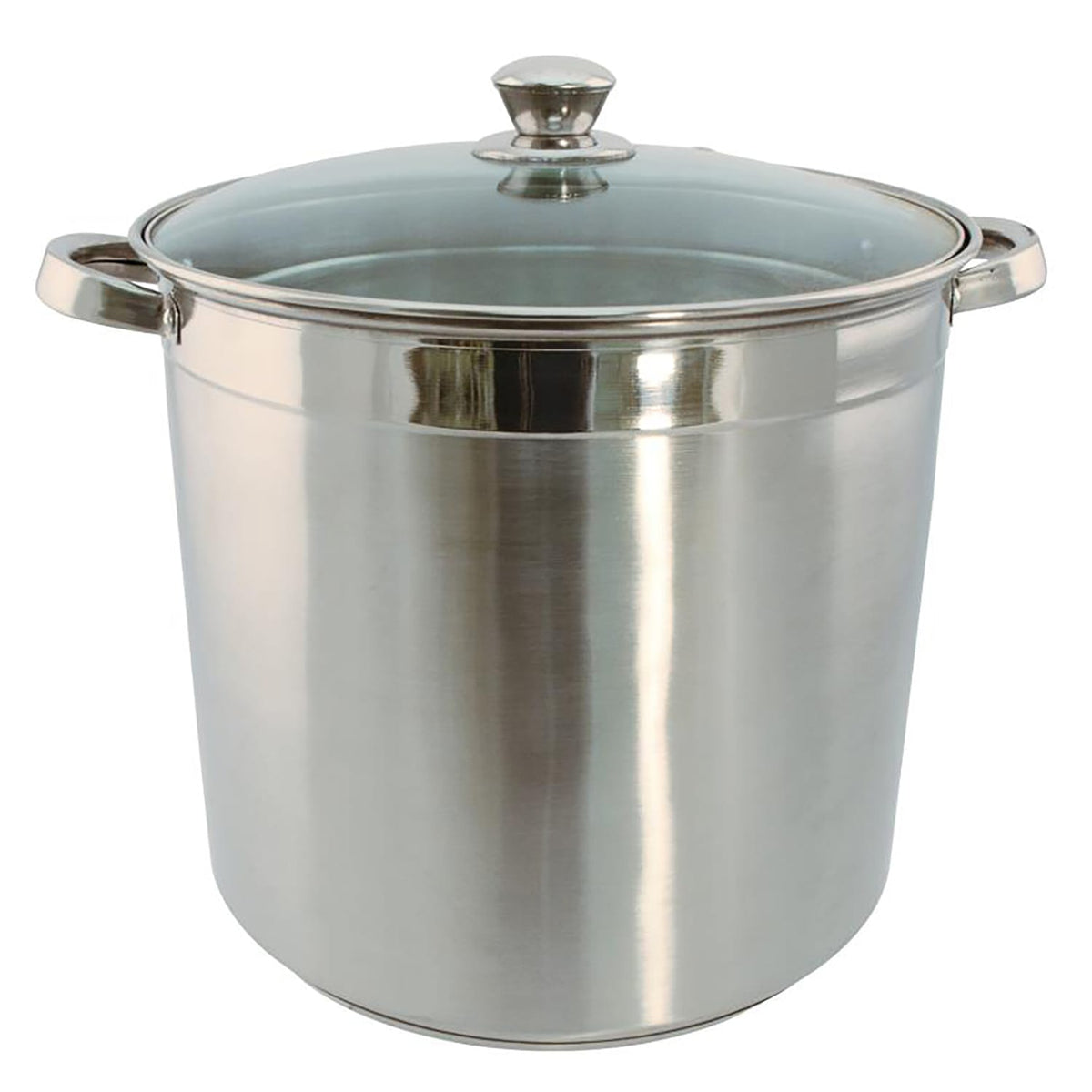 EuroHome 20-Qt. Stainless Steel Stock Pot with Glass Lid