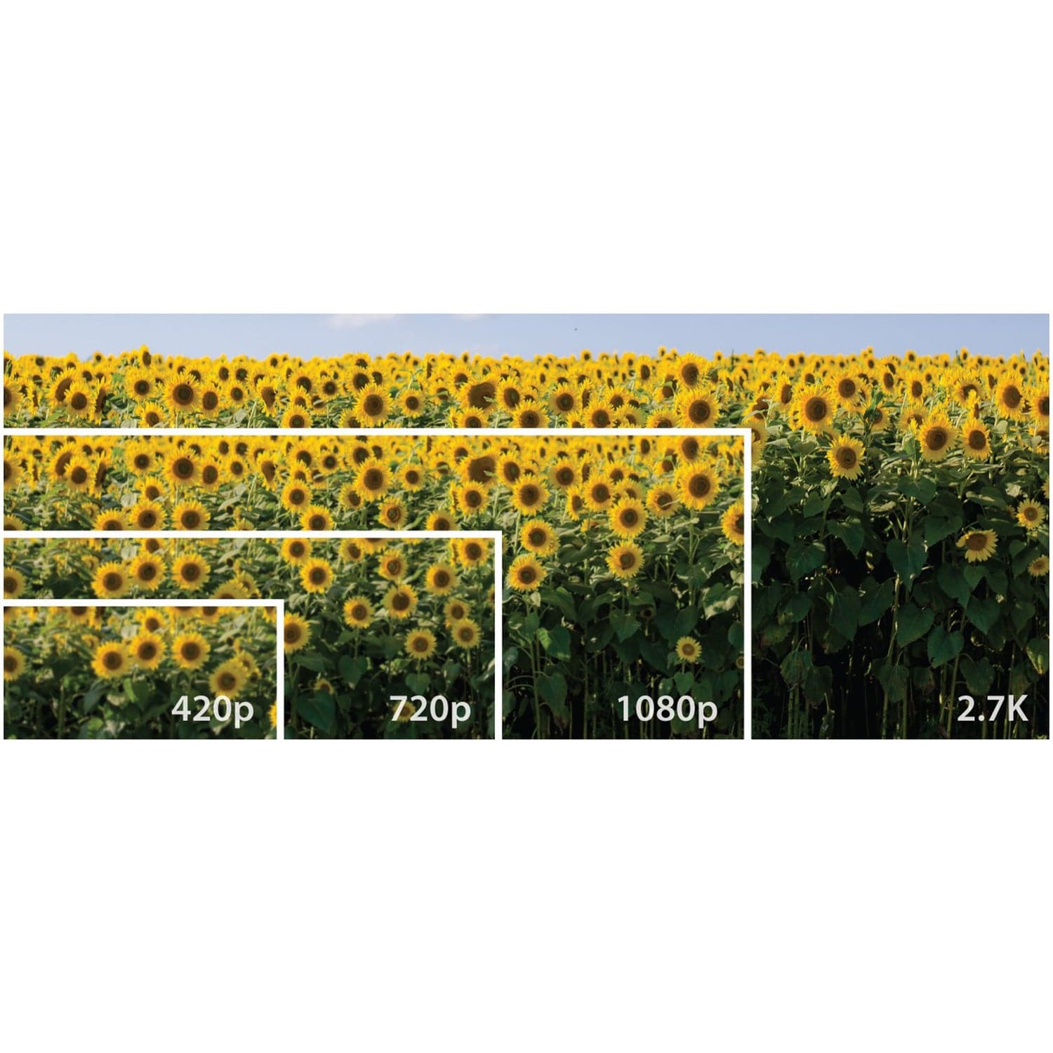 Minolta MND20 16x Digital Zoom 44 MP/2.7K Quad HD Digital Camera, Blue