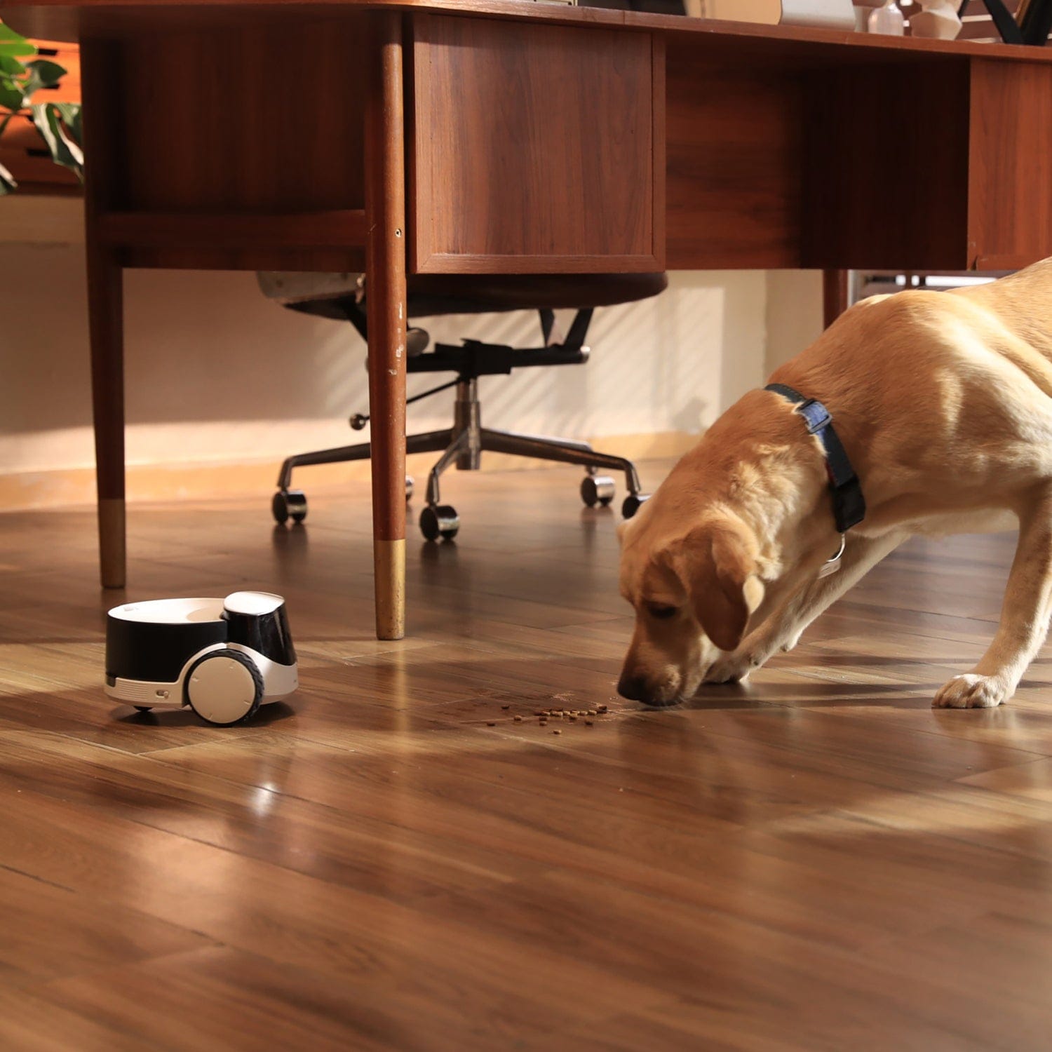 Enabot ROLA PetPal Smart Treat Dispenser Module