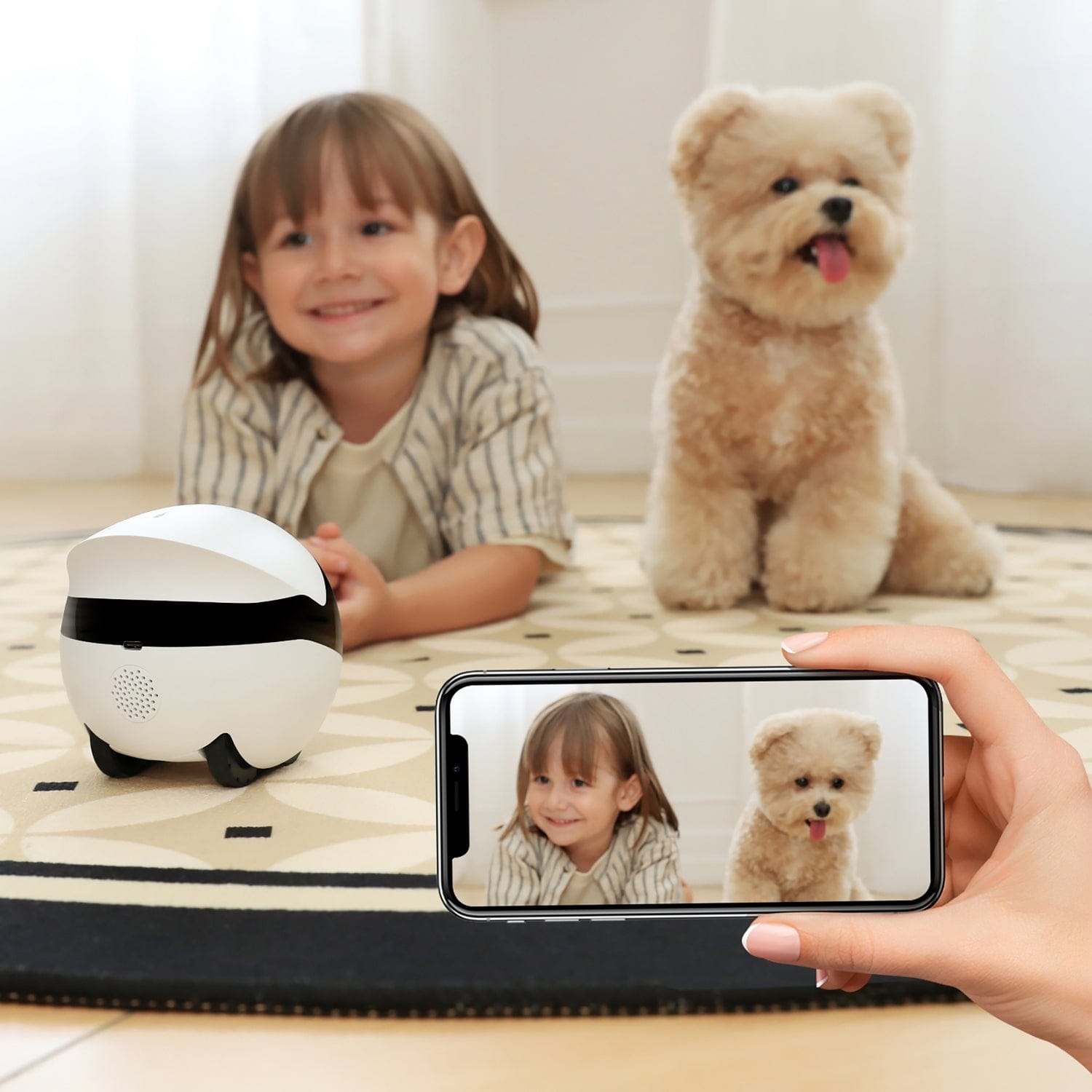 Enabot ROLA Mini Companion Robot with 2K QHD Camera and Built-in Call Button with 2-Way Voice