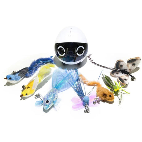 Enabot ROLA Mini Cat Toy Teaser Pack