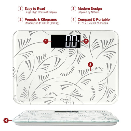 Escali Sleek Rounded 440-lb Capacity Tempered Glass Bathroom Scale