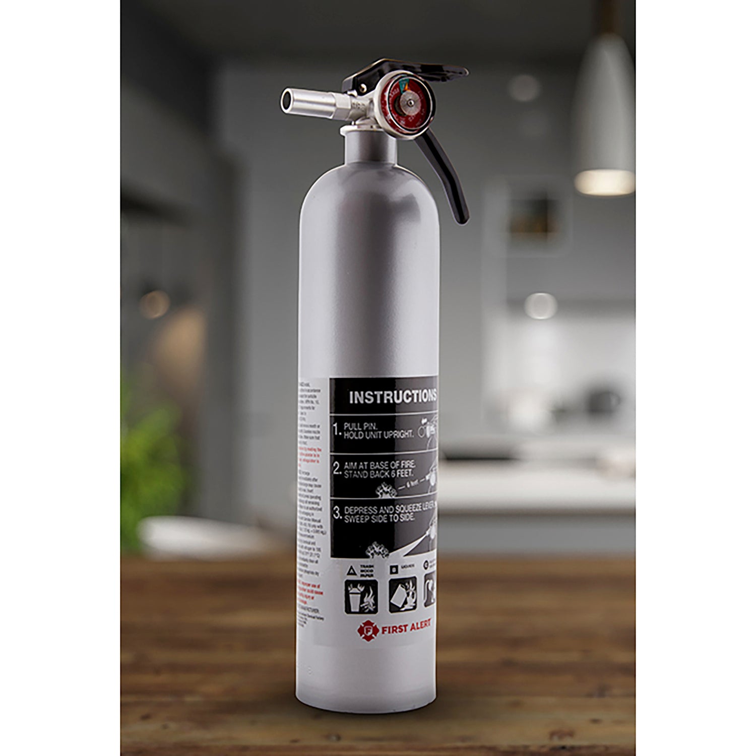 First Alert Rechargeable Home Fire Extinguisher UL Rated 1-A:10-B:C, DHOME1