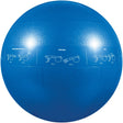 GoFit Pro Grade Stability Guide Ball with Pump, 55cm, Blue