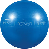 GoFit Pro Grade Stability Guide Ball with Pump, 55cm, Blue