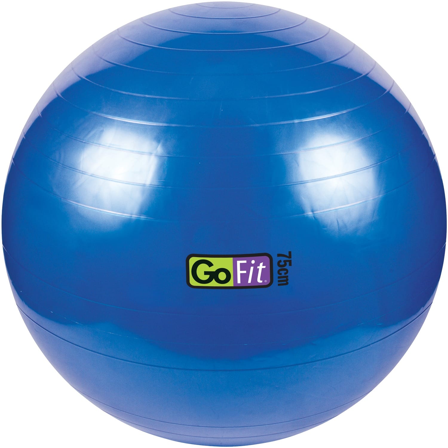 GoFit Stability Ball with Pump, 75cm, Blue