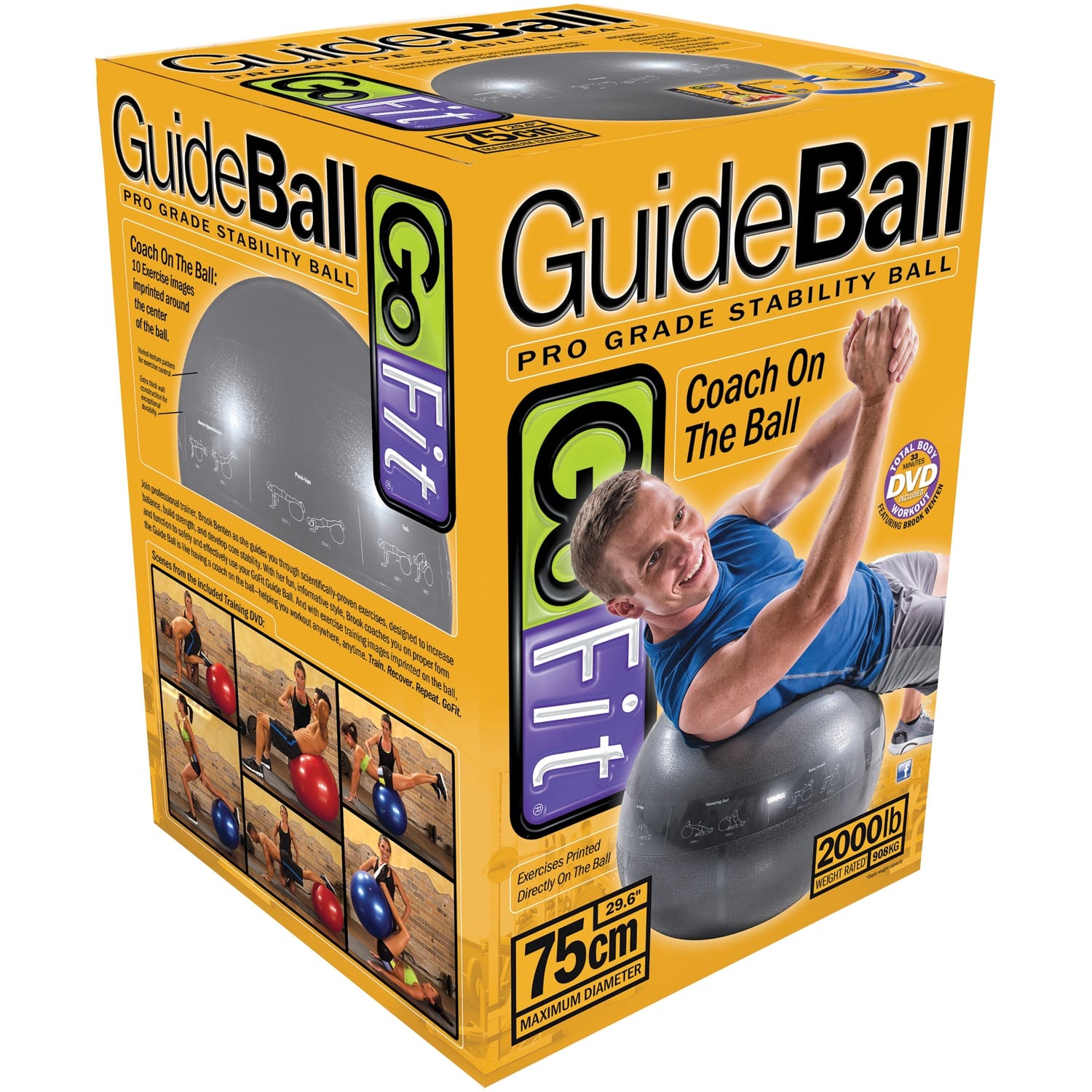 GoFit Pro Grade Stability Guide Ball with Pump, 75cm, Silver