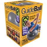 GoFit Pro Grade Stability Guide Ball with Pump, 75cm, Silver