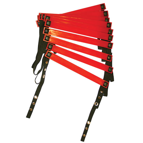 GoFit 15-Foot Agility Ladder with Storage Bag