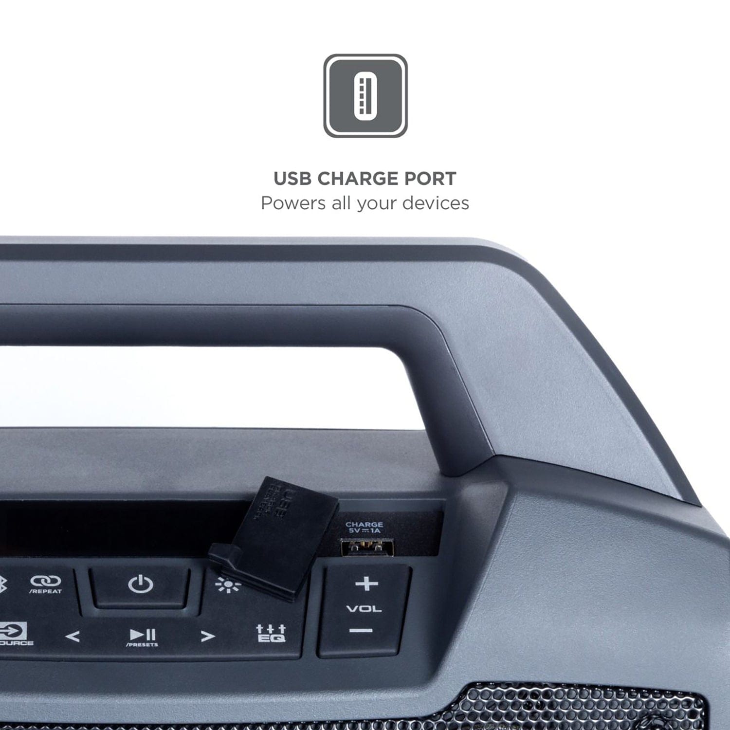 ION Game Day Primetime Portable Bluetooth Speaker with Lights and FM Radio, Black