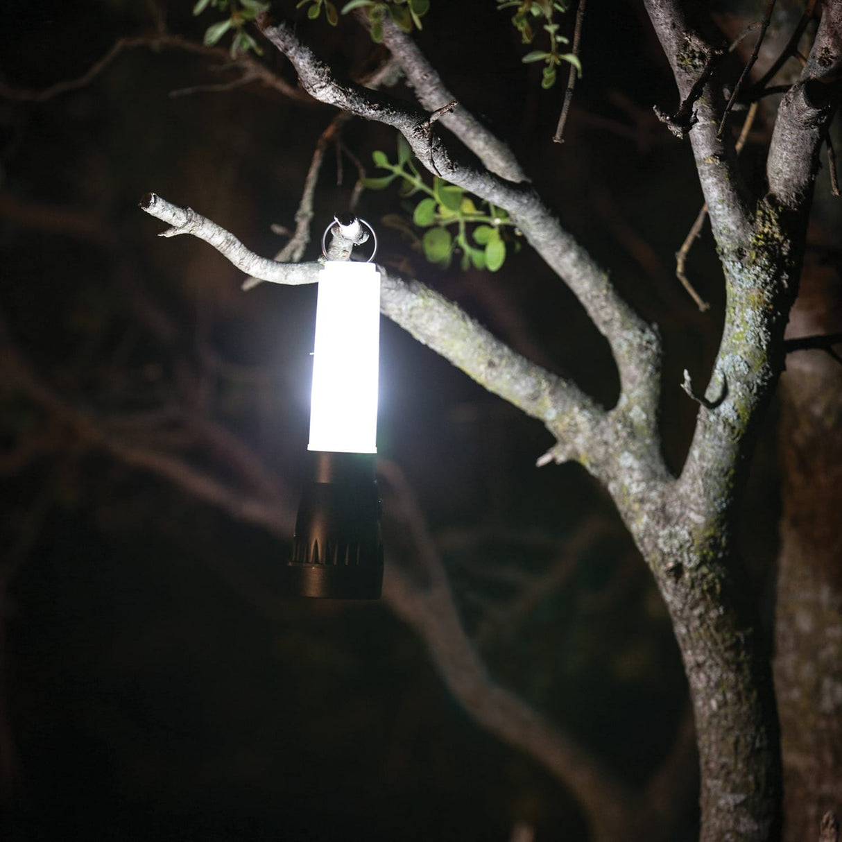 LifeGear 200-Lumen Floating Flashlight and Lantern