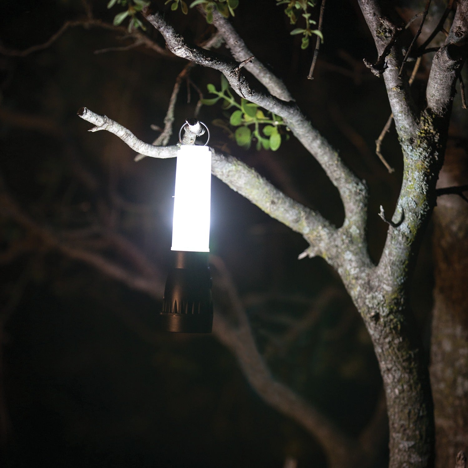 LifeGear 200-Lumen Floating Flashlight and Lantern
