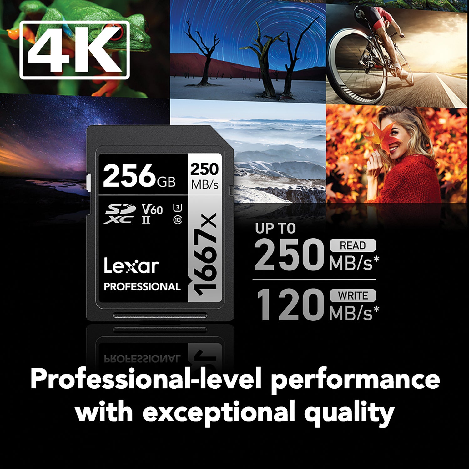 Lexar Professional SILVER Series 1667x SDXC UHS-II Card, 2 Pack, 256 GB