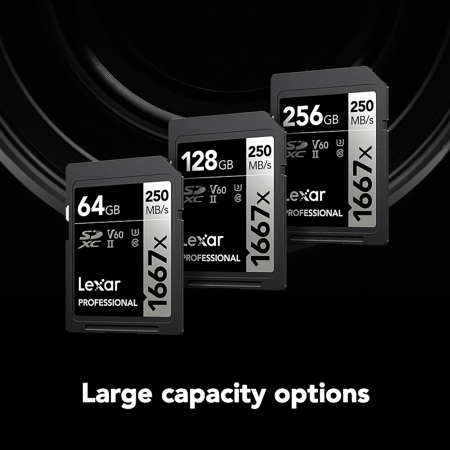 Lexar Professional SILVER Series 1667x SDXC UHS-II Card, 256 GB