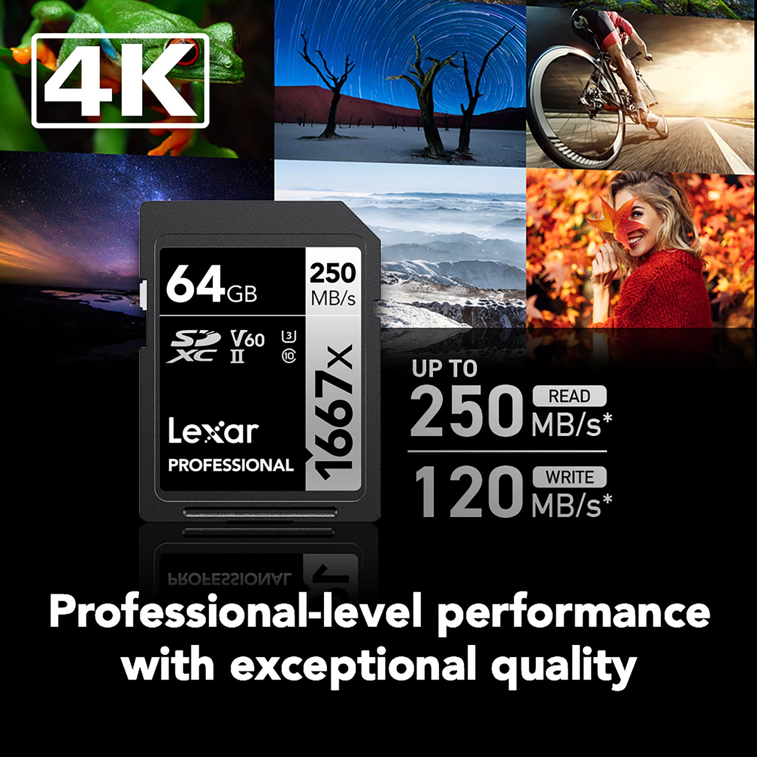 Lexar Professional SILVER Series 1667x SDXC UHS-II Card, 64 GB