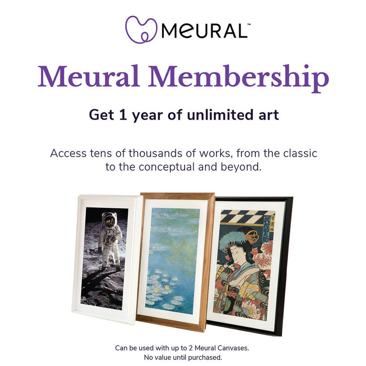 Meural MCMYA-10000S Canvas Annual Membership Card for Digital Picture Frame