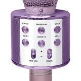 Crayola CKM150 Combo Bluetooth Karaoke Handheld Mic and 5-Watt Speaker, FM/USB/microSD, Aux In/Out, Vocal FX, up to 2 Hours Play Time, Pink