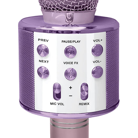 Crayola CKM150 Combo Bluetooth Karaoke Handheld Mic and 5-Watt Speaker, FM/USB/microSD, Aux In/Out, Vocal FX, up to 2 Hours Play Time, Pink
