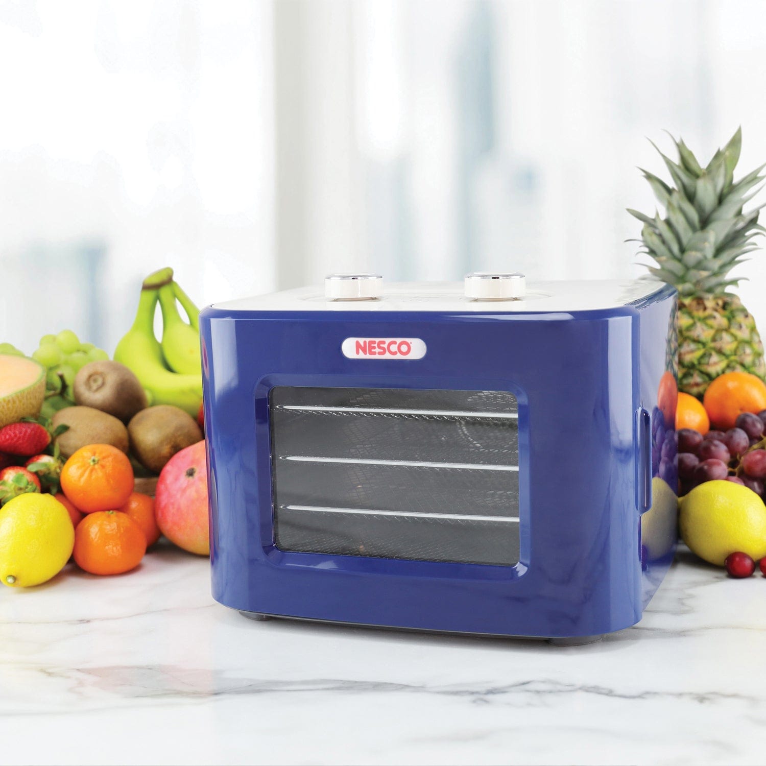 Nesco 400-Watt Snackmaster Jr. Dehydrator