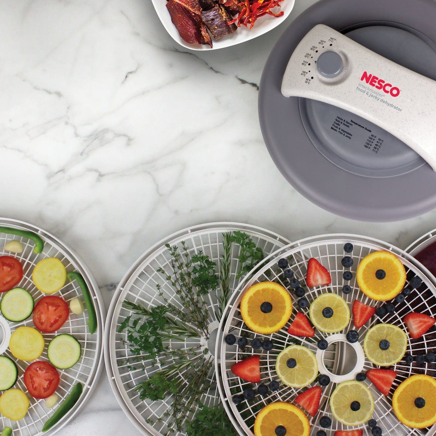 Nesco 500-Watt Food Dehydrator