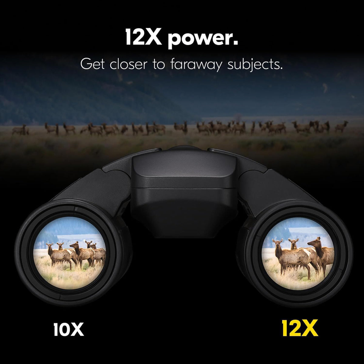 Nikon STABILIZED 12x25 S Binoculars for Image Stabilization with Case, Neck Strap, Batteries, and Lens Covers