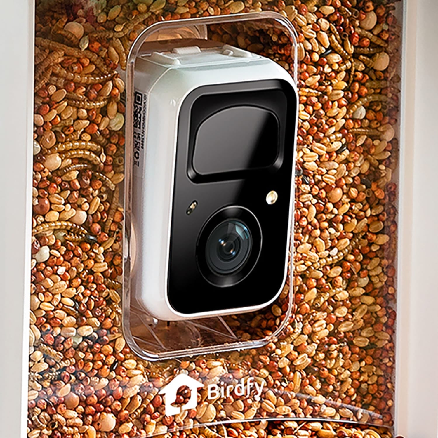 Birdfy Feeder 1 Smart Bird Feeder with Camera and Free AI Lifetime Subscription