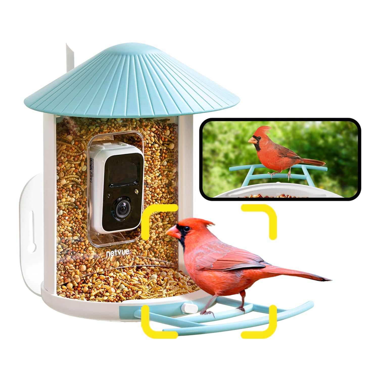 Birdfy Feeder 1 Smart Bird Feeder with Camera and Free AI Lifetime Subscription