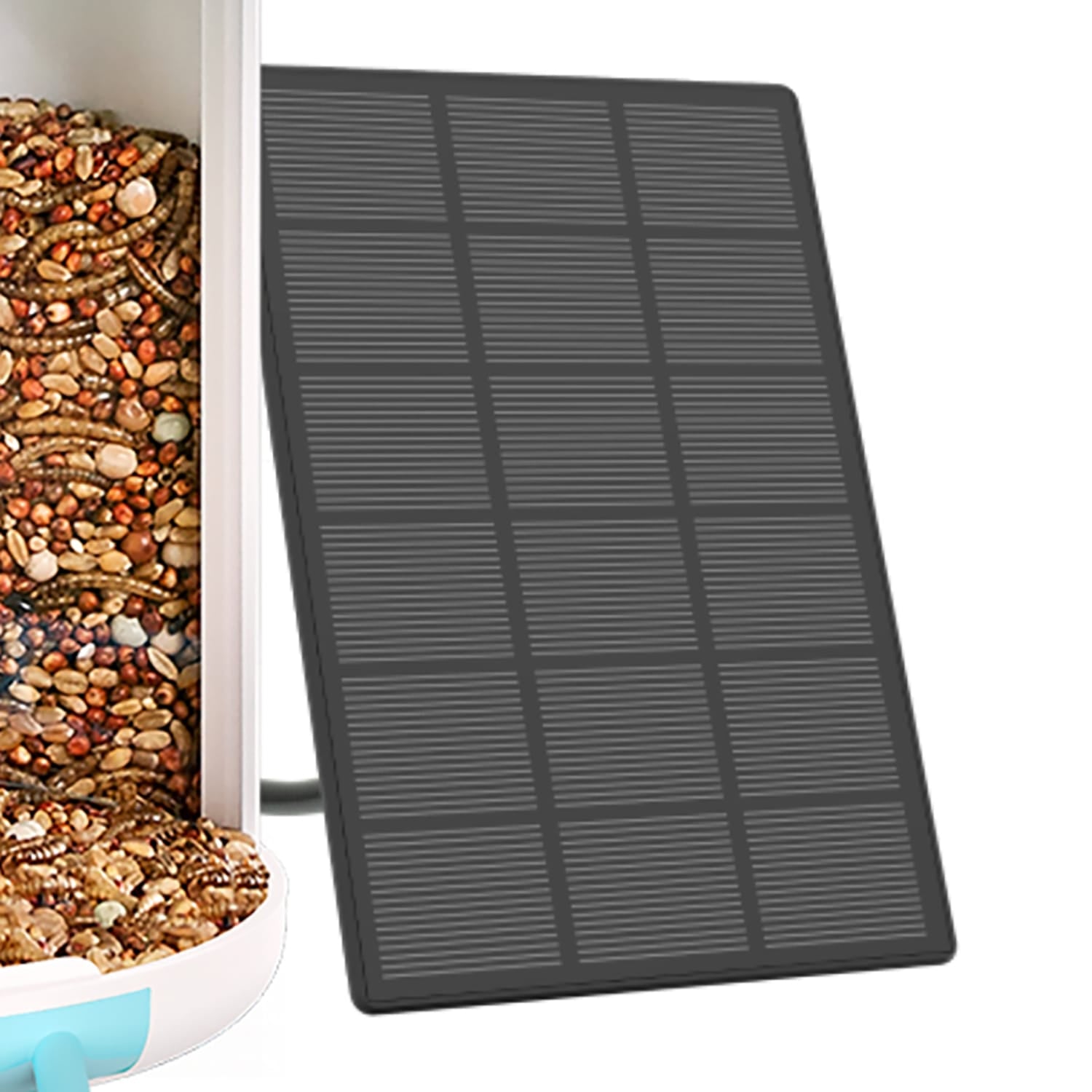 Birdfy Feeder 1 Smart Bird Feeder with Camera, Solar Panel, and AI by Subscription