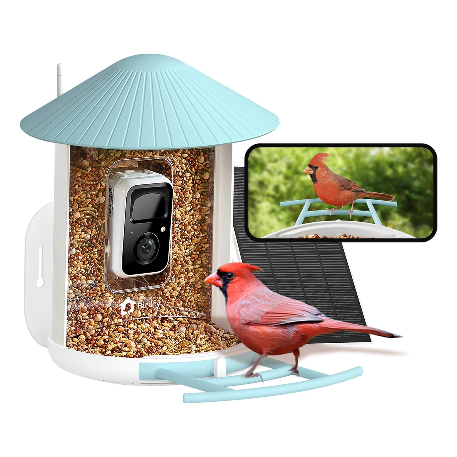 Birdfy Feeder 1 Smart Bird Feeder with Camera, Solar Panel, and AI by Subscription