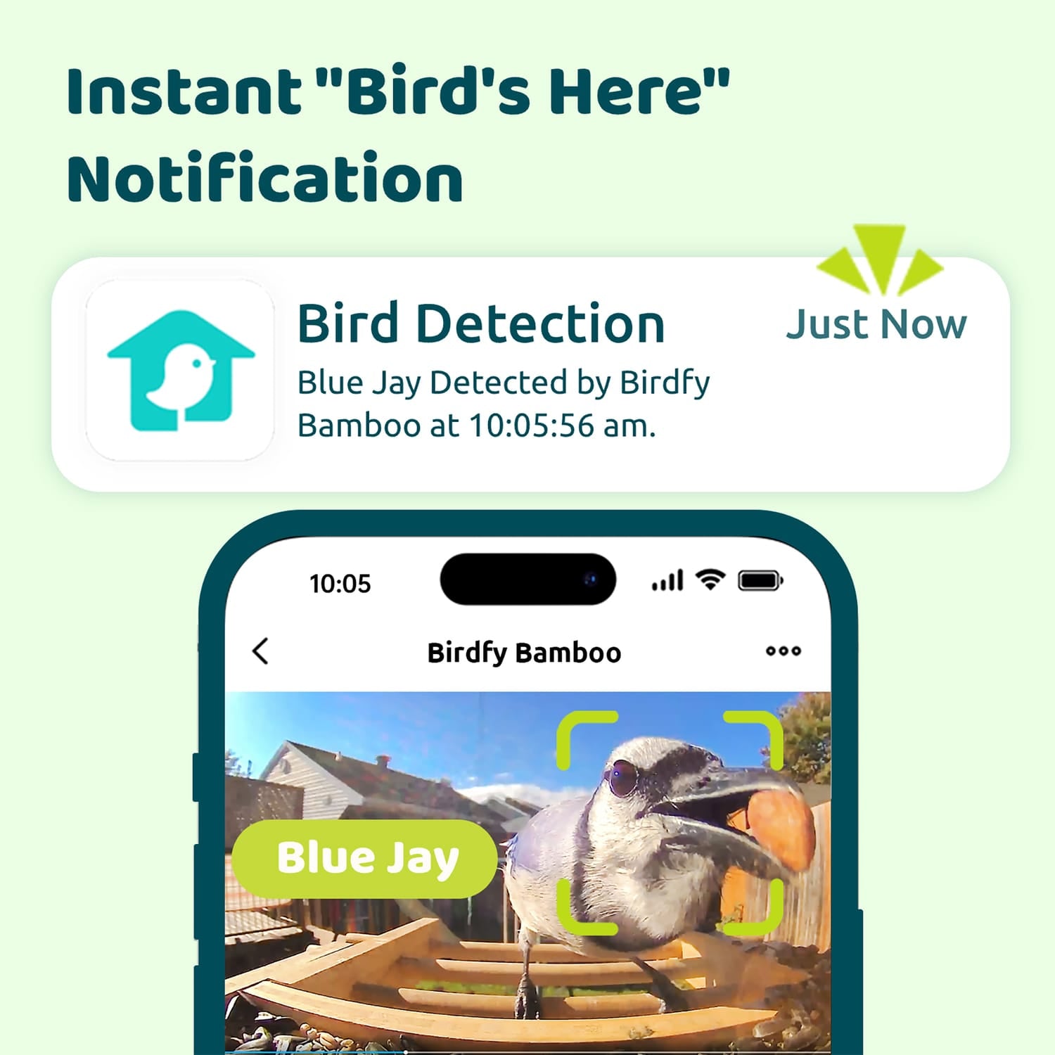 Birdfy Feeder Bamboo with Camera, Solar Panel, and AI by Subscription