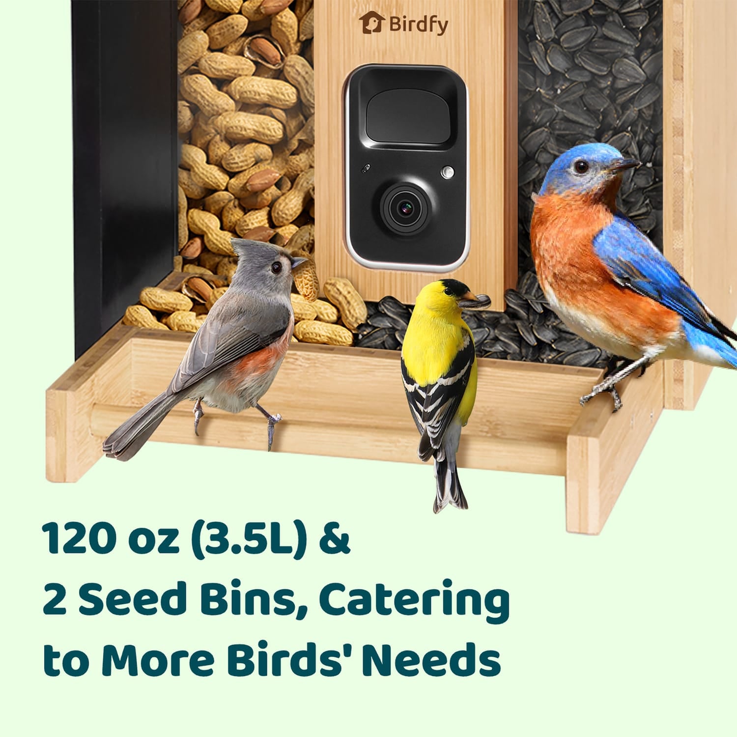 Birdfy Feeder Bamboo with Camera, Solar Panel, and AI by Subscription
