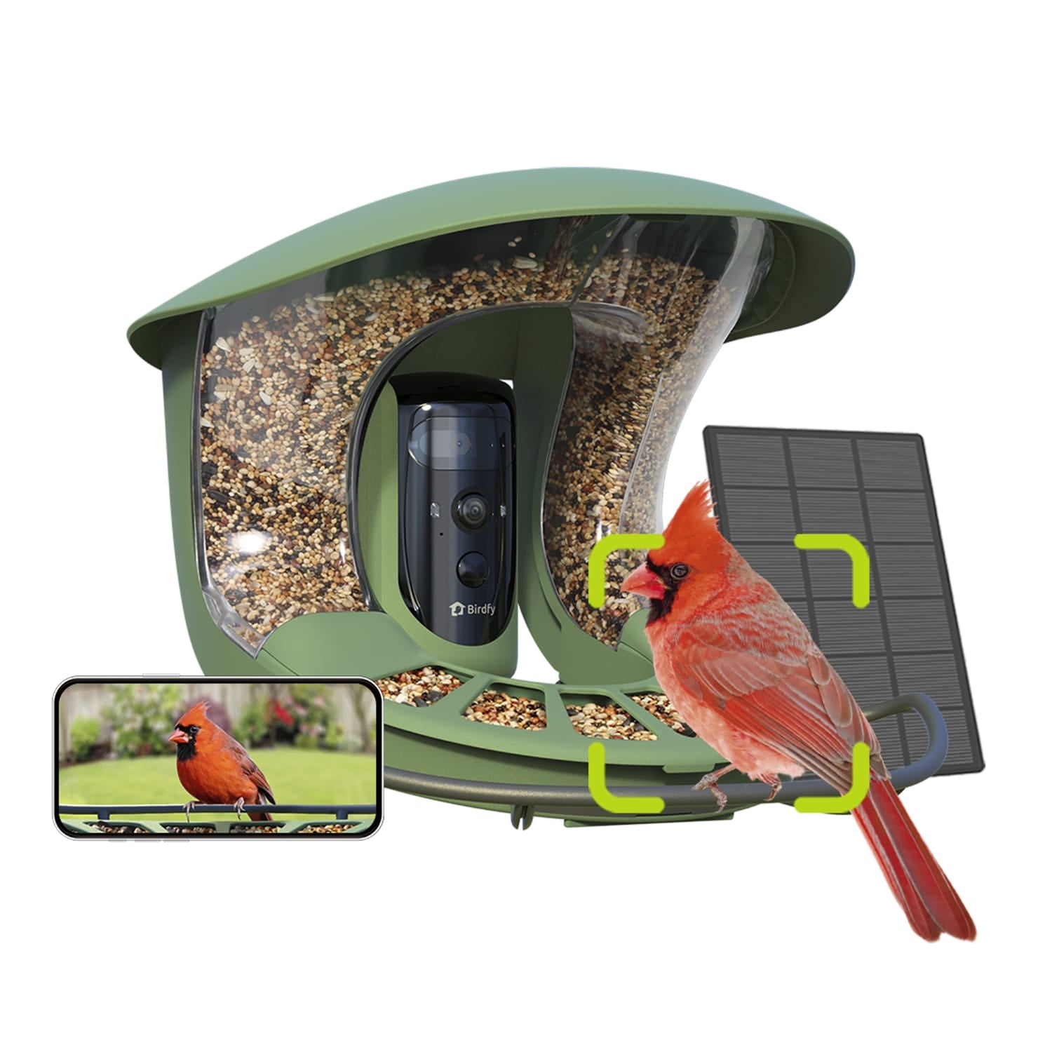 Birdfy Feeder 2 Pro with Dual-Lens Camera, Solar Panel, and Free AI Lifetime Subscription