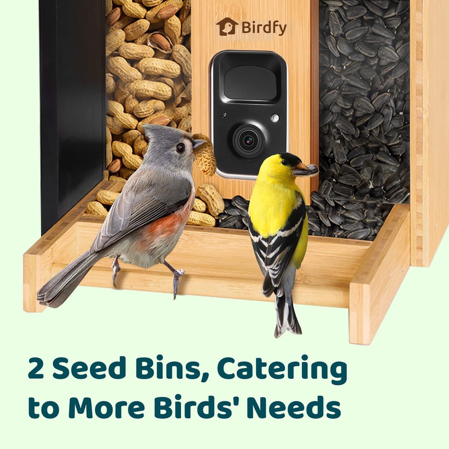 Birdfy Feeder Bamboo Mini with Camera, Solar Panel, and AI by Subscription