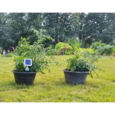 Priority Products GroStik Plant and Soil Energizer