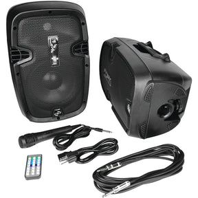Pyle 700-Watt Active/Passive Dual Speaker System Kit